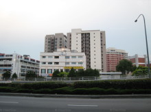 Central View (D19), Condominium #1106152